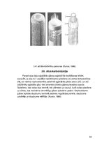 Referāts 'Tumšā alus ražošanas procesi un iekārtas', 68.