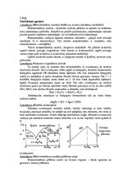 Paraugs 'Materiālu makro-mikro struktūras analīze, lūzumu pētīšana', 3.