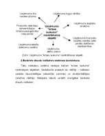 Referāts 'Bankrota novērtēšanas sistēmas', 4.