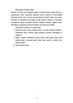 Konspekts 'Ekonomiskās situācijas raksturotāji. Pamatproblēmas makroekonomikā', 6.