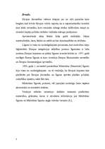 Referāts 'Māstrihtas līgums', 2.