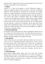 Eseja 'Mūsdienu pasaules problēmas un to risinājumi', 2.