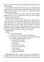 Konspekts 'Vienotā monetārā sistēma. Eiro zona. Sadarbība sociālajā politikā', 5.