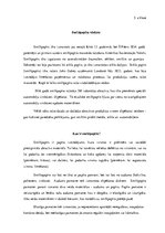 Referāts 'Smilšpapīrs', 2.