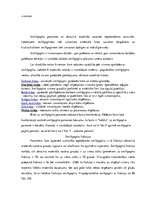 Referāts 'Smilšpapīrs', 3.