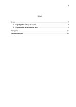 Referāts 'Kuģu hipotēkas tiesību raksturojums', 2.