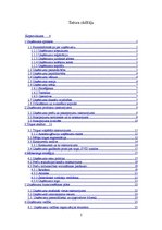 Biznesa plāns 'Biznesa plāns SIA "Lime"', 2.