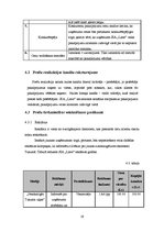 Biznesa plāns 'Biznesa plāns SIA "Lime"', 19.