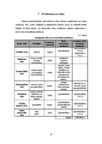 Biznesa plāns 'Biznesa plāns SIA "Lime"', 29.