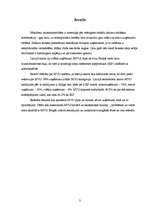 Referāts 'Mazie un vidējie uzņēmumi (MVU)', 3.