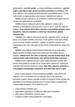 Referāts 'Mazie un vidējie uzņēmumi (MVU)', 5.