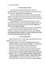 Referāts 'Mazie un vidējie uzņēmumi (MVU)', 6.