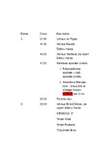 Konspekts 'Grupas ceļojuma apraksts', 3.