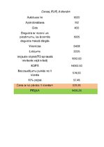 Konspekts 'Grupas ceļojuma apraksts', 11.