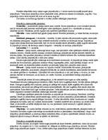 Konspekts 'Evolūcija', 2.