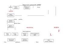 Paraugs 'Procesu karte uzņēmumā SIA "Zeize"', 1.
