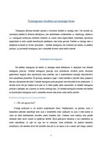 Referāts 'Taisnīguma princips', 5.