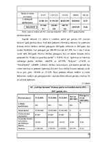 Referāts 'AS "Latvijas balzams" finanšu rādītāji un uzņēmuma vērtības noteikšana', 20.