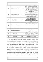 Referāts 'AS "Latvijas balzams" finanšu rādītāji un uzņēmuma vērtības noteikšana', 28.
