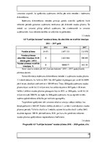 Referāts 'AS "Latvijas balzams" finanšu rādītāji un uzņēmuma vērtības noteikšana', 29.