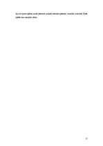 Referāts 'Mātes un vērša kults Senājā Krētā otrajā gadu tūkstotī pirms mūsu ēras', 17.