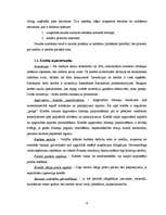 Referāts 'Kredīta un tā nodrošinājuma veidi un prasības', 4.