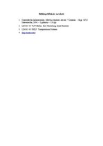 Referāts 'Kursa darbs datormācībā ekonomistiem', 24.