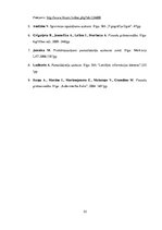 Referāts 'Pamatlīdzekļu uzskaite un nolietojuma aprēķināšanas kārtība', 33.