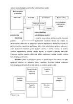 Konspekts 'Uzņēmuma saimnieciskās situācijas novērtēšana, iekšējās un ārējās vides analīze,', 6.