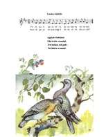 Referāts 'Baloži', 14.