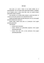 Konspekts 'Kontu plāns, tā izvēle. Kontu raksturojums budžeta iestādē', 2.