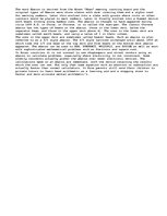 Eseja 'Abacus: Saun-Paun: The History and Use of the Chinese Abacus', 1.