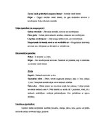 Paraugs 'Somatoskopija', 3.