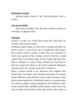 Paraugs 'Somatoskopija', 4.