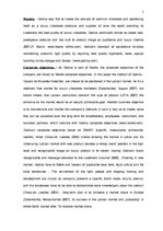 Referāts 'Marketing Plan for "Godiva"', 1.