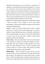 Referāts 'Marketing Plan for "Godiva"', 9.