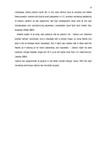 Referāts 'Marketing Plan for "Godiva"', 13.