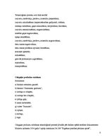 Referāts 'Gaļas pārstrādes uzņēmuma darbinieku struktūrvienības analīze', 13.