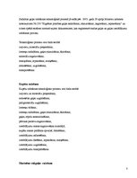 Referāts 'Gaļas pārstrādes uzņēmuma darbinieku struktūrvienības analīze', 15.