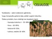 Prezentācija 'Celulozes un papīra ražošana', 2.