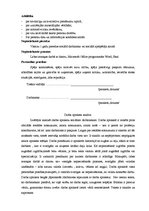 Eseja 'Darba apraksta analīze - sociālais darbinieks', 2.