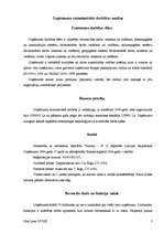 Prakses atskaite 'Prakses atskaite mārketingā', 3.