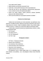 Prakses atskaite 'Prakses atskaite mārketingā', 7.