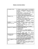 Konspekts 'Mūzikas vēsturiskā attīsība', 1.