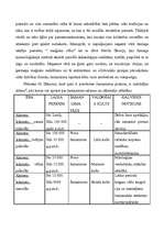 Referāts 'Šamanisms', 4.