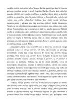 Referāts 'Šamanisms', 10.