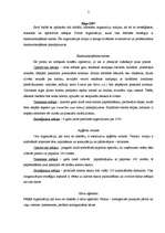 Konspekts 'Organizāciju mērķi, misijas', 2.