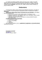 Konspekts 'Dzinējs', 5.