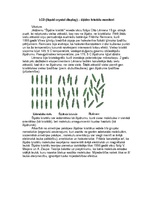 Konspekts 'LCD monitori', 1.