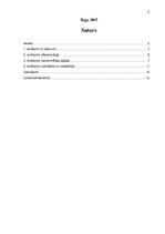 Referāts 'Ienākumu sadales problēmas Latvijā mūsdienās', 2.